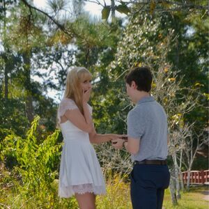 Gallery Photo 6