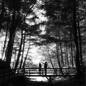 Gallery Photo 55