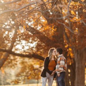 Gallery Photo 239