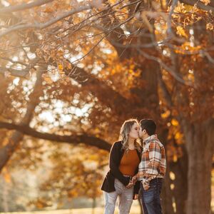 Gallery Photo 239