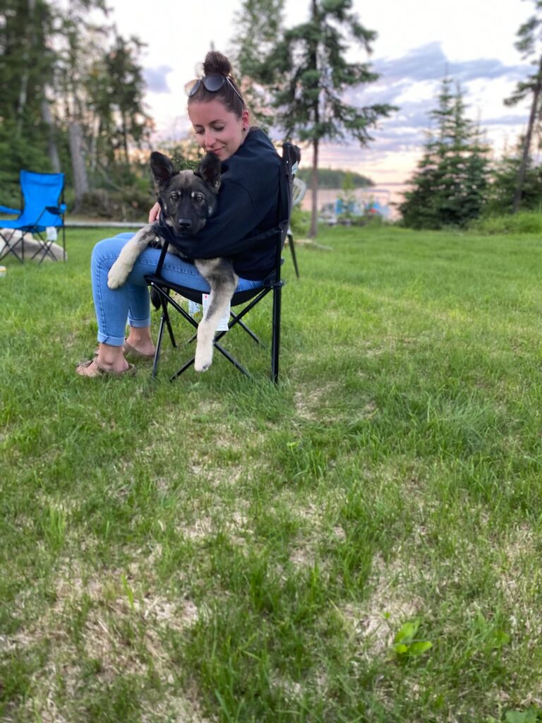 The day we got Beau!