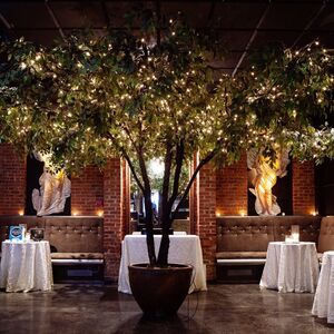 Gallery Photo 2