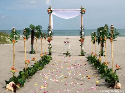 Wedding Venues In Cocoa Beach Fl The Knot