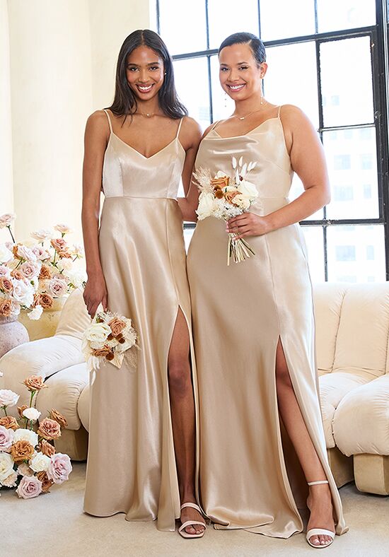 Birdy Grey Jay Shiny Satin Dress in Neutral Champagne Bridesmaid Dress The Knot