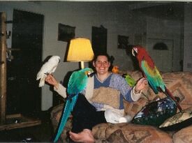 The Parrot Lady of Washington - Animal For A Party - Seattle, WA - Hero Gallery 1