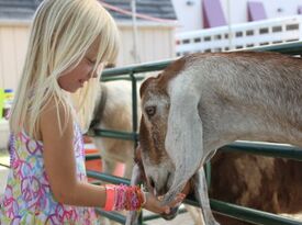 Honey Hill Farm Mobile Petting Zoo & Pony Rides - Animal For A Party - Berry, KY - Hero Gallery 3
