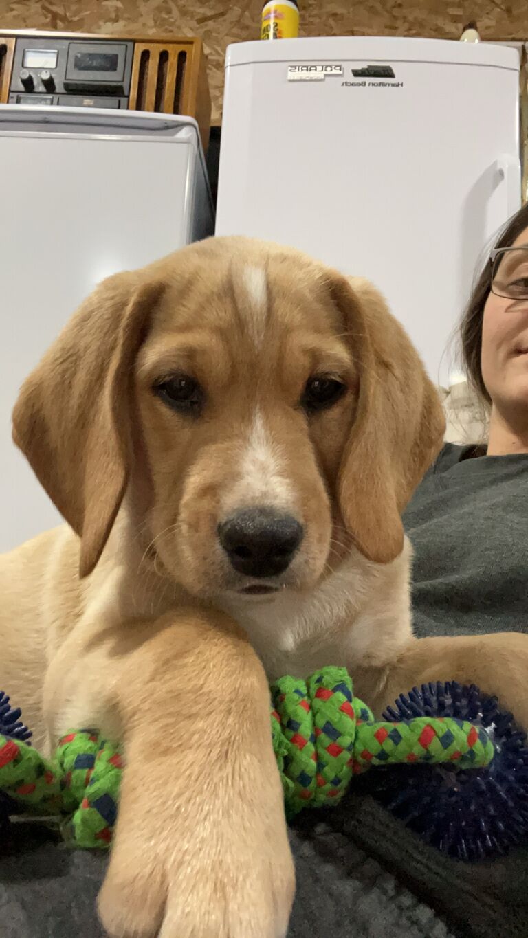 Big boy Hank is growing so fast.