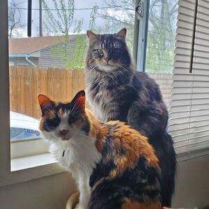 Gallery Photo 26
