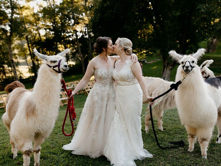 Friluftsliv wedding brides kissing holding llamas
