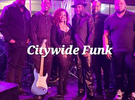 Citywide Funk - Variety Band - Houston, TX - Hero Gallery 3