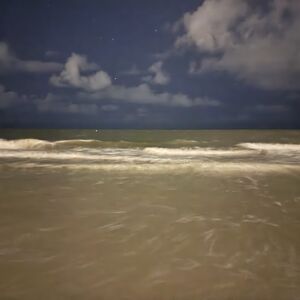 Gallery Photo 44