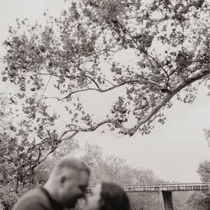 Gallery Photo 40