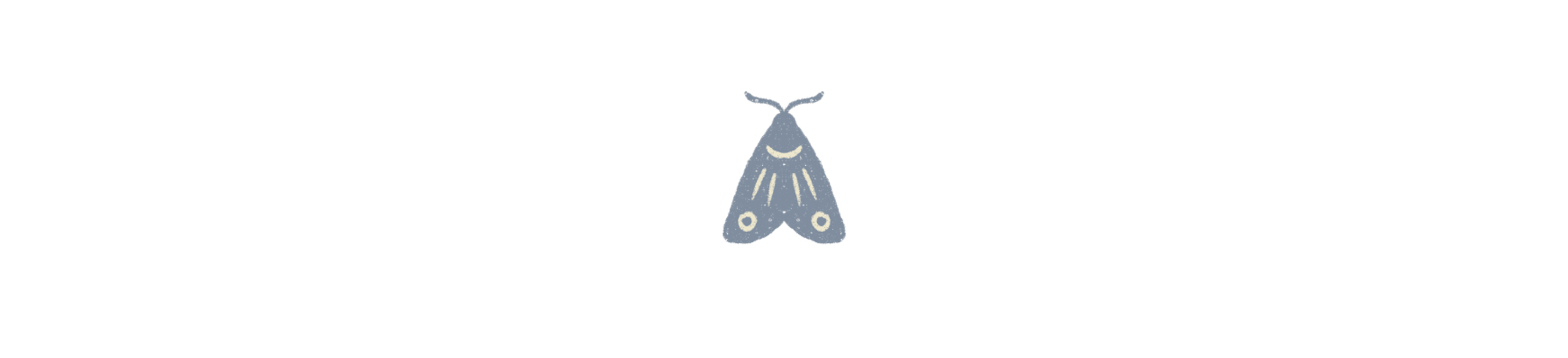 Bottom Theme Image