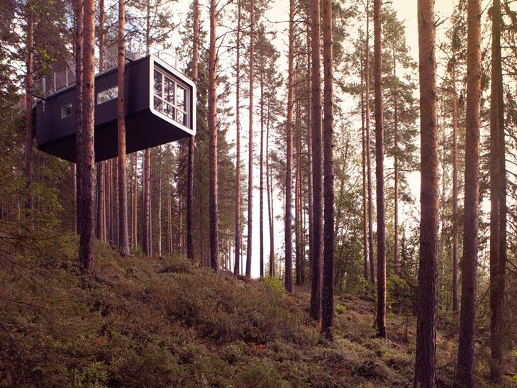 tree house in sweden 