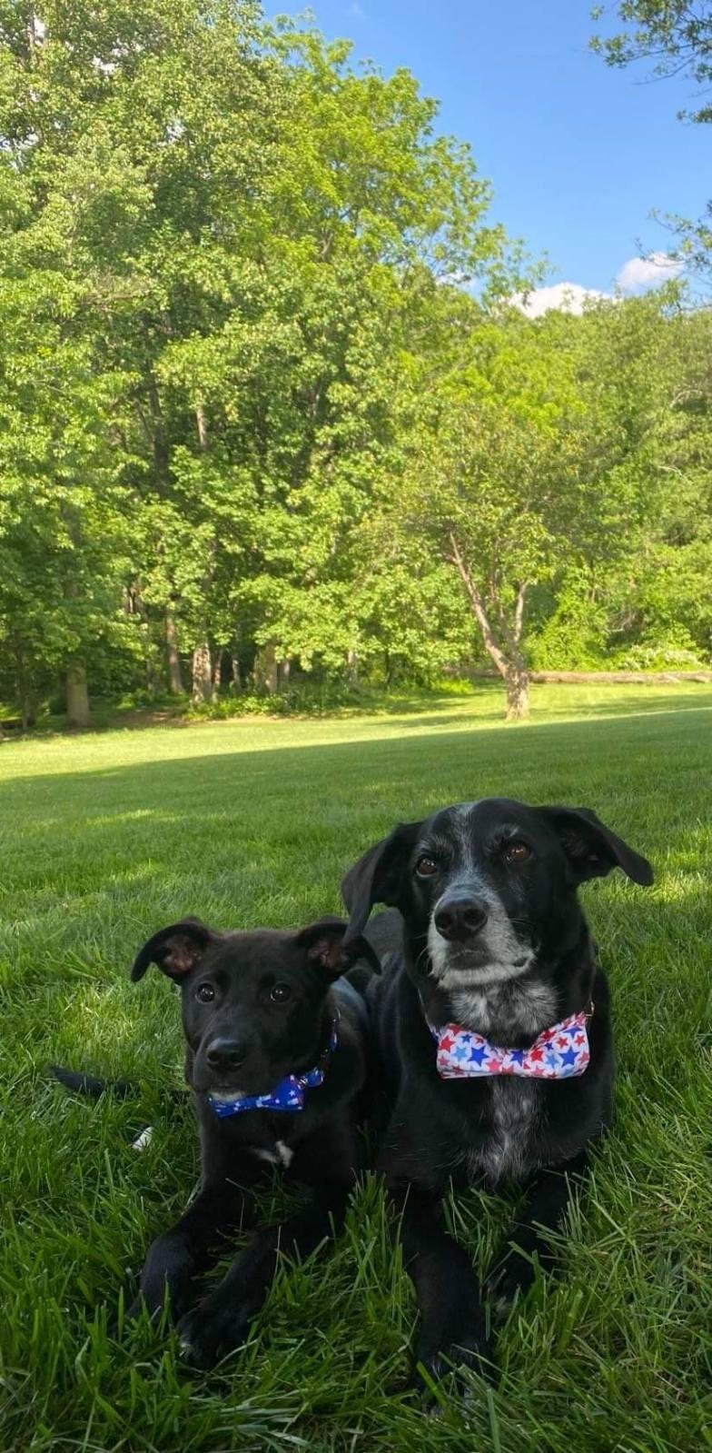 Became a family of 4 