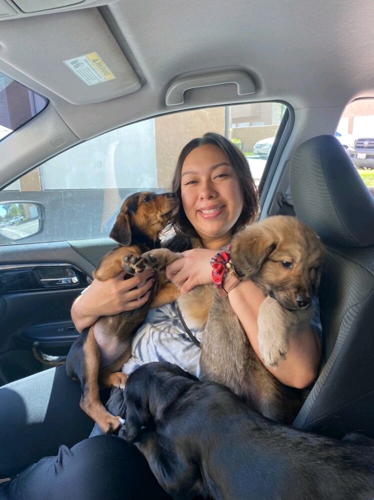 Added two of Chewy's puppies into our family