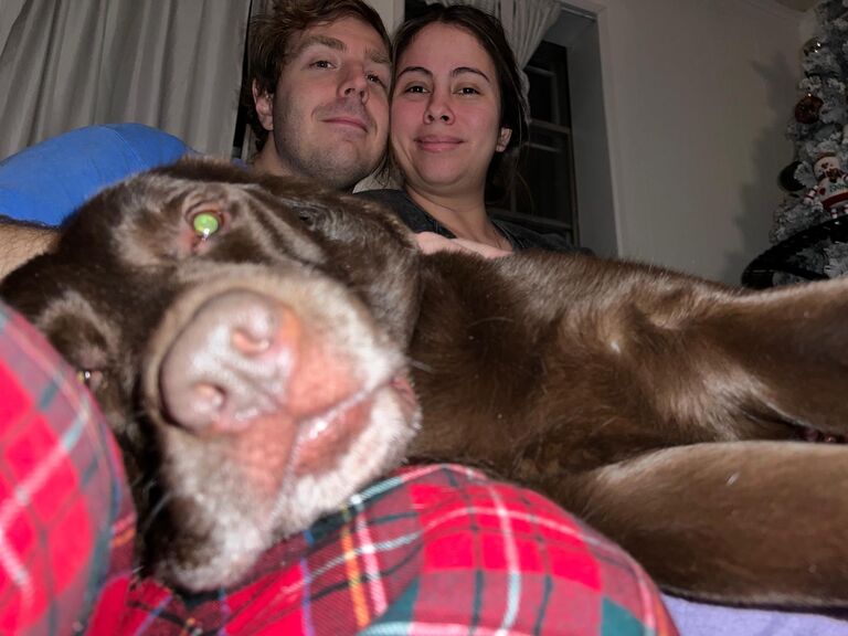 First december living together