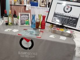 Elegant Kocktails - Bartender - Katy, TX - Hero Gallery 2