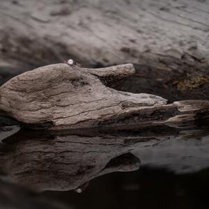 Gallery Photo 28