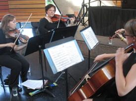 Ovation String Quartet - String Quartet - Minneapolis, MN - Hero Gallery 2