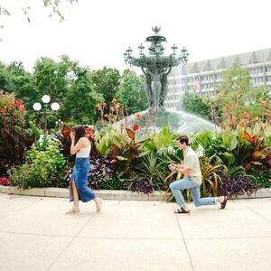 Gallery Photo 103