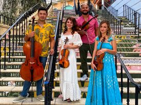 IrinaMusicCorporation - String Quartet - Boca Raton, FL - Hero Gallery 3