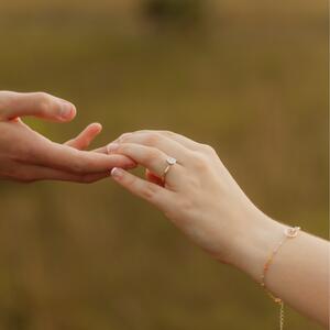 Gallery Photo 47