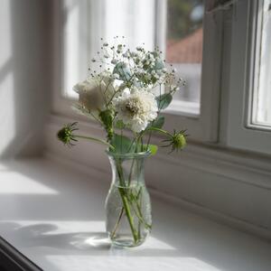 Gallery Photo 17