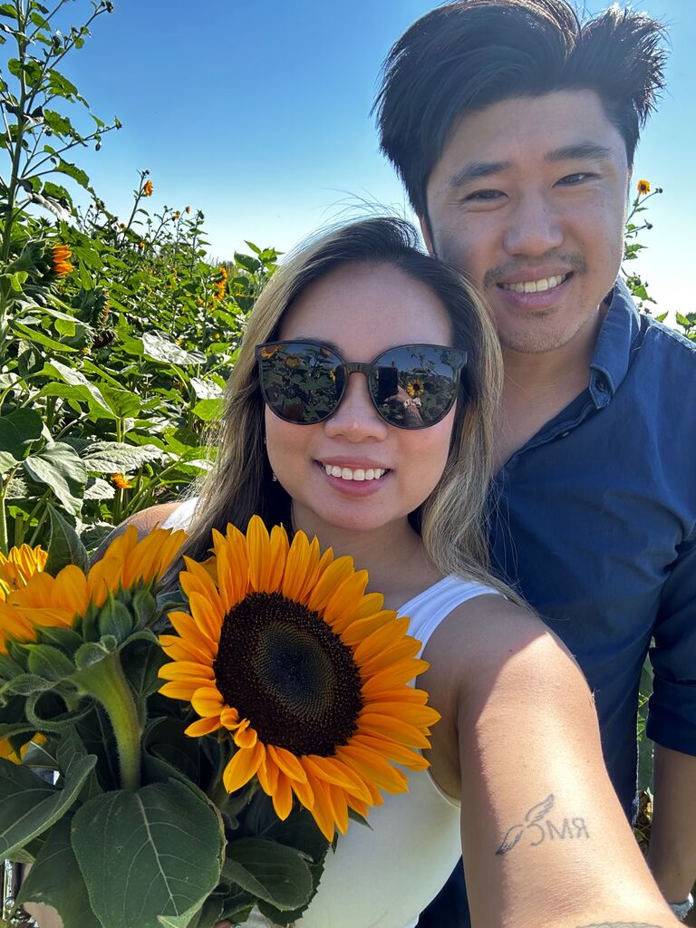 Sunflower Picking