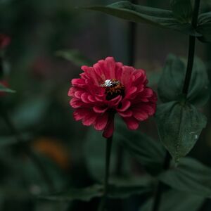 Gallery Photo 35