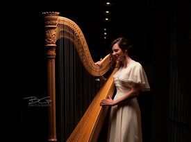Serena Brouillette - Harpist - Oshkosh, WI - Hero Gallery 3
