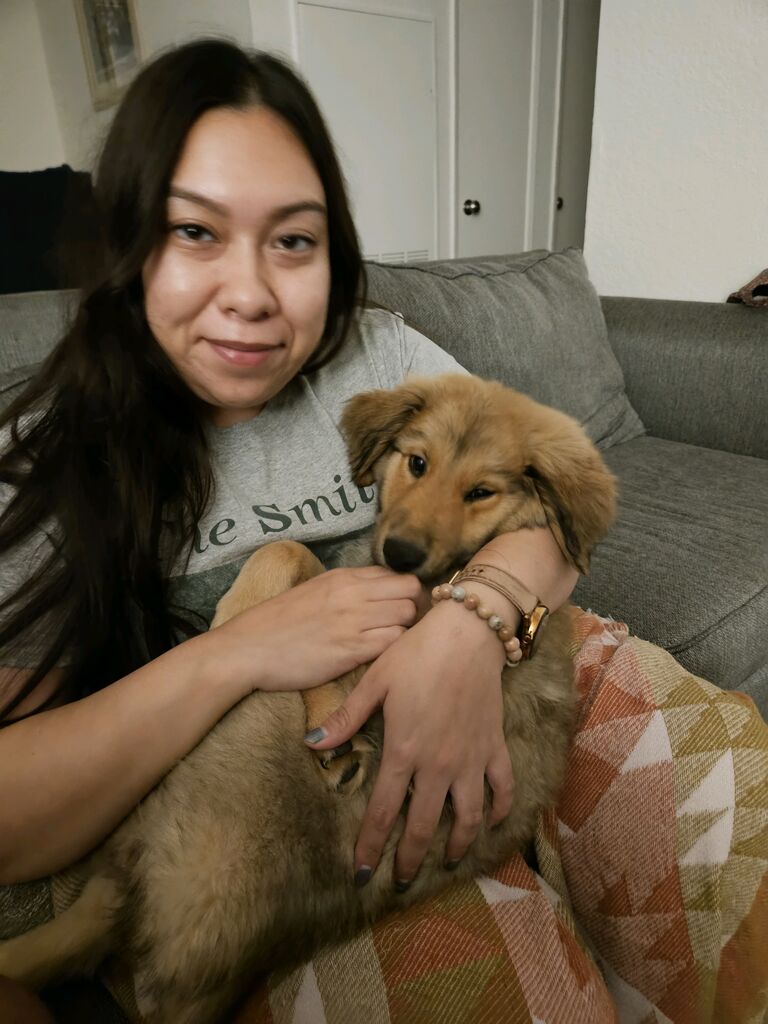 Dobbybi