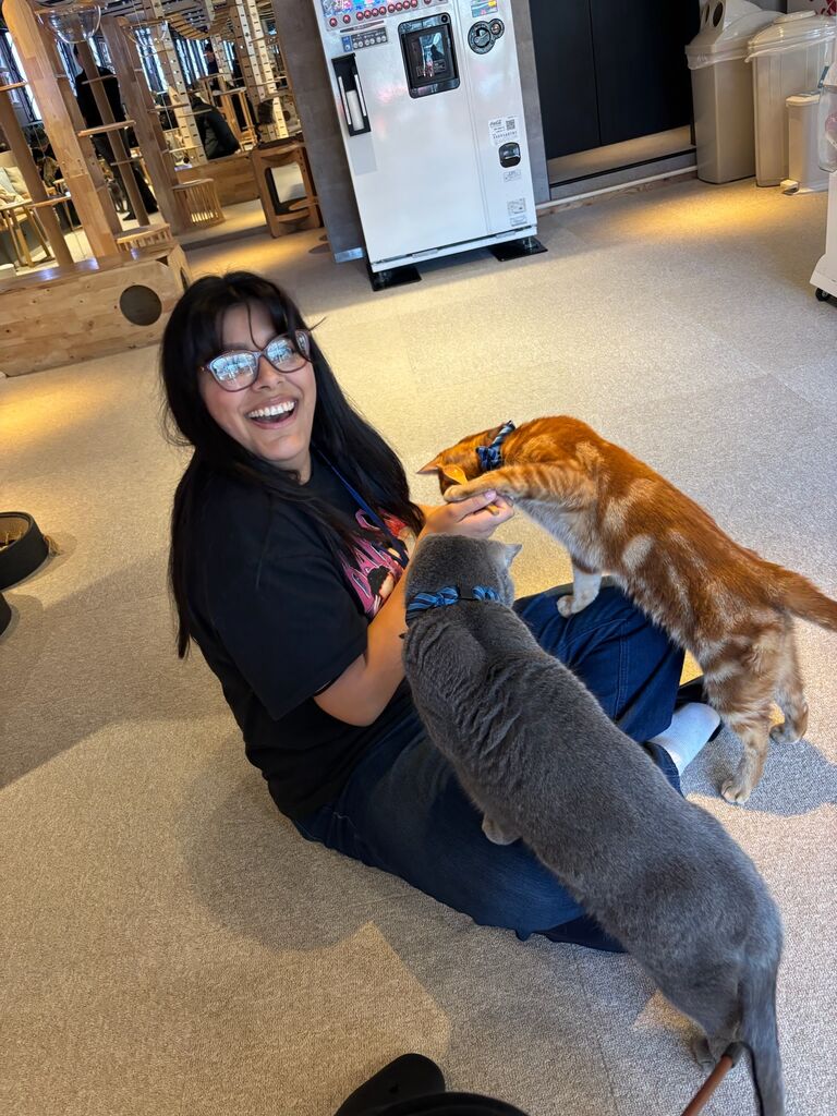 Honeymoon in Japan! Feat. Cat Cafe