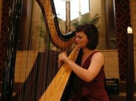 Andie Moody, Harpist - Harpist - Chicago, IL - Hero Gallery 1