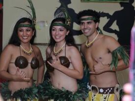 Hokule'a Academy of Polynesian Arts - Hula Dancer - Chicago, IL - Hero Gallery 4