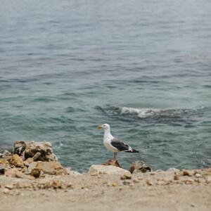 Gallery Photo 69
