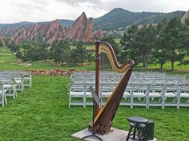 Harpist - Mary Keener - Harpist - Denver, CO - Hero Gallery 3