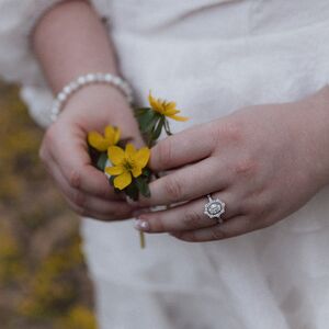 Gallery Photo 65