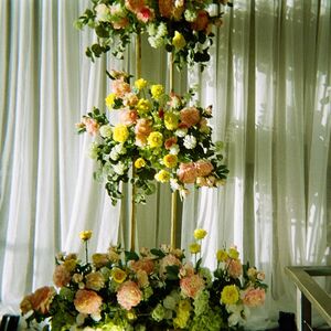 Gallery Photo 126