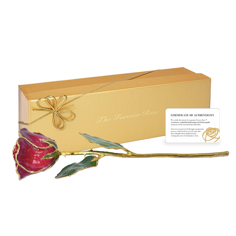 Preserved rose