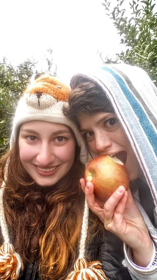 Apple picking at Blackman Farm