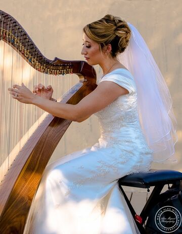 Julie Crystal - Music for All Occasions - Harpist - Danville, PA - Hero Main