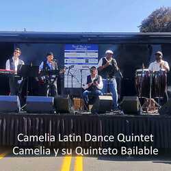 THREE DIFFERENT LATIN GROUPS:, profile image
