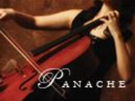 Panache Entertainment - String Quartet - Troy, MI - Hero Gallery 1