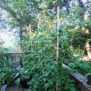 Gallery Photo 47