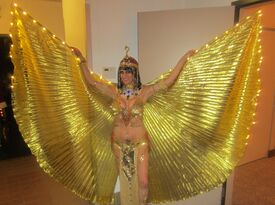 Be Allured Belly Dancing By Dimitra - Belly Dancer - Milwaukee, WI - Hero Gallery 1