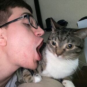Gallery Photo 20