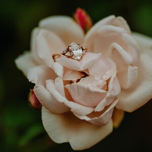 Gallery Photo 17