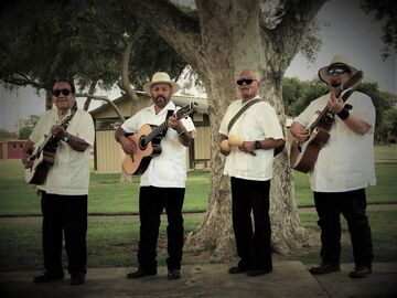 GRUPO LOS DOMINOS, QUARTET - Latin Band - San Jose, CA - Hero Main