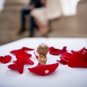 Gallery Photo 27